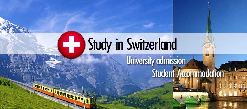 Seaford Educational Consultancy